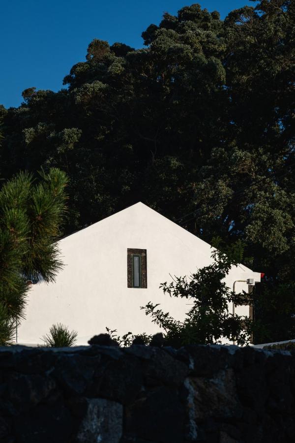 Entre Muros - Turismo Rural - Casa Com Jardim E Acesso Direto Ao Mar 大里贝拉 外观 照片